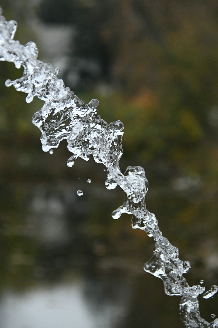 氨氮在线监测仪